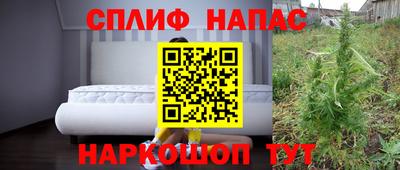 стаф Пенза