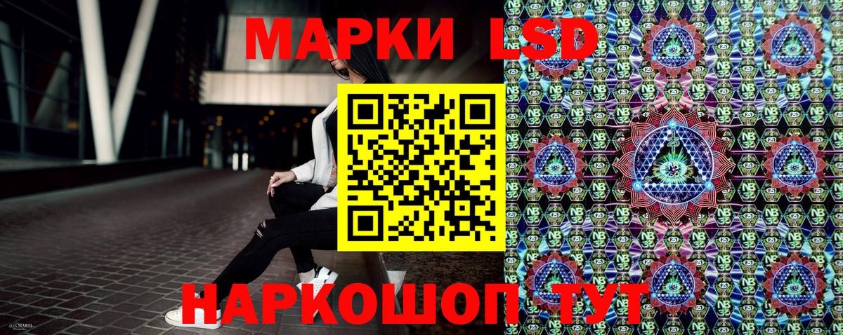 Псилоцибиновые грибы Сланцы