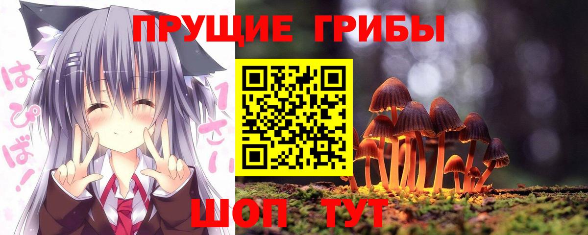 Псилоцибиновые грибы Magic Shrooms  Псилоцибиновые грибы Cubensis  Сланцы  Вход с VPN 