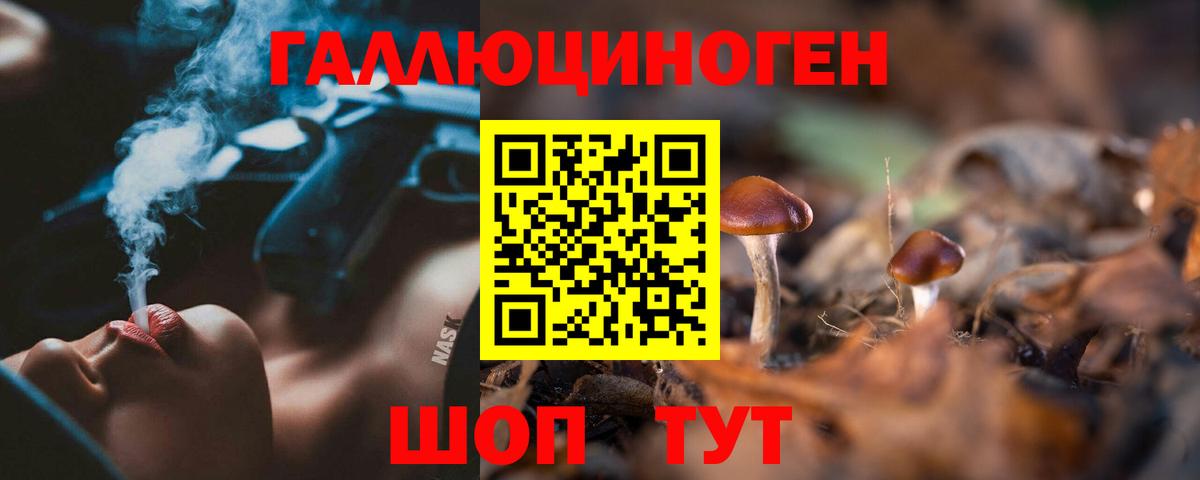 Галлюциногенные грибы Magic Shrooms Сланцы
