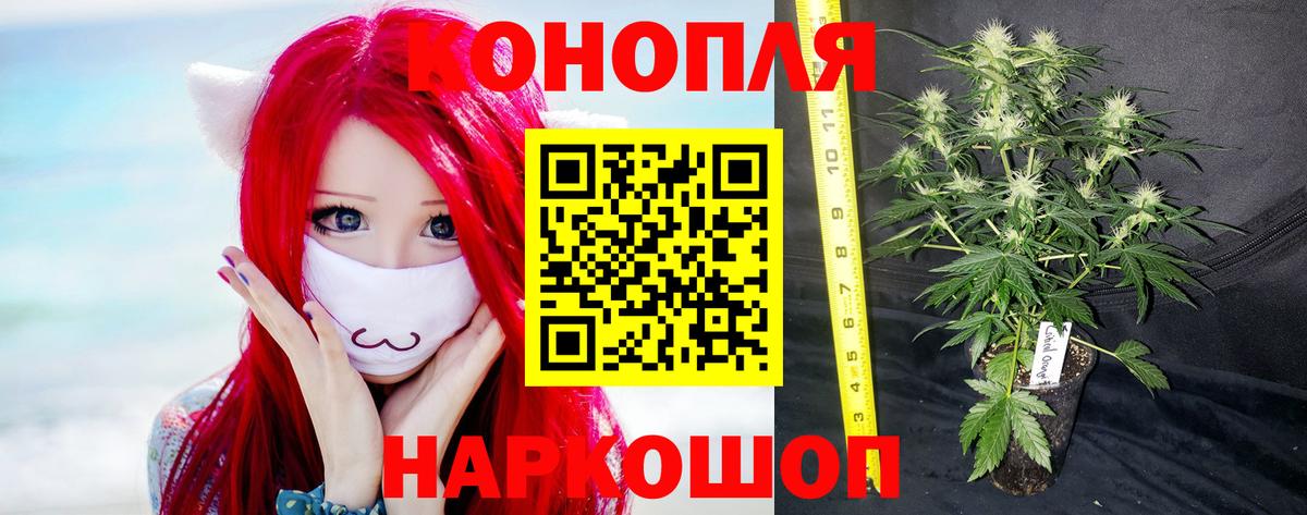 Каннабис гибрид Сланцы